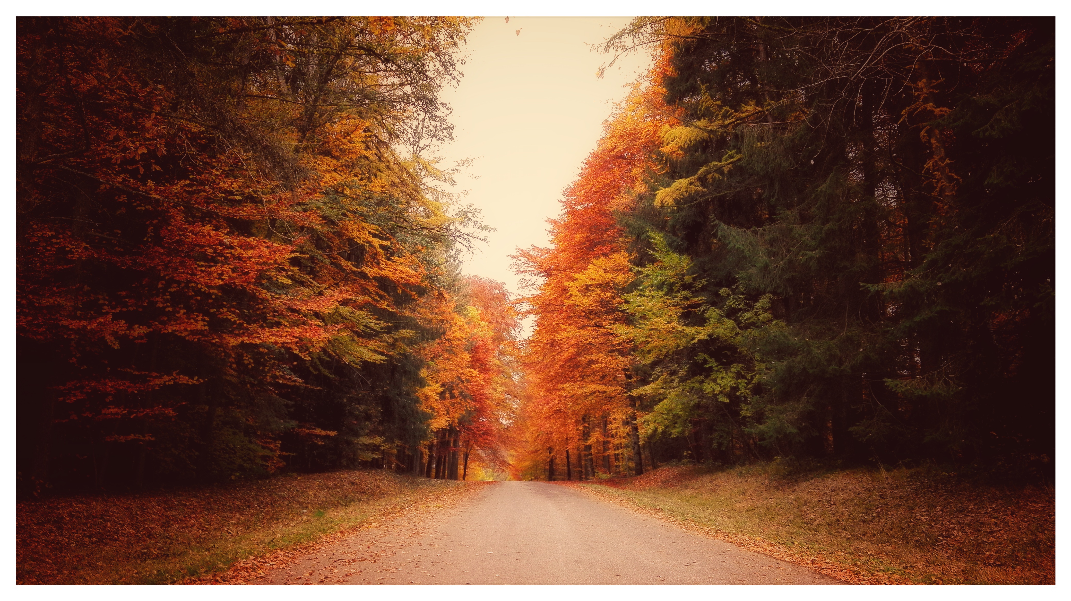 “I'm so glad I live in a world where there are Octobers.”